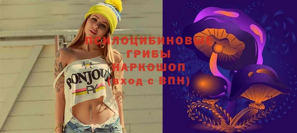 гидропоника Магас